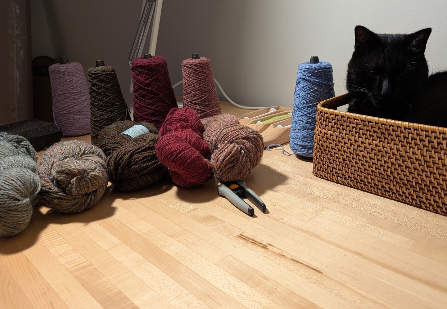 Should be interesting. Just about ready to warp the loom in Ashley Falls for the first time -- a color gamp and a cat. What could go wrong. #ruggleshill