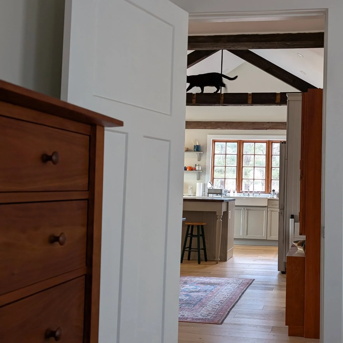 Besides his careful oversight of the weaving studio, this cat also oversees the kitchen... #ruggleshill