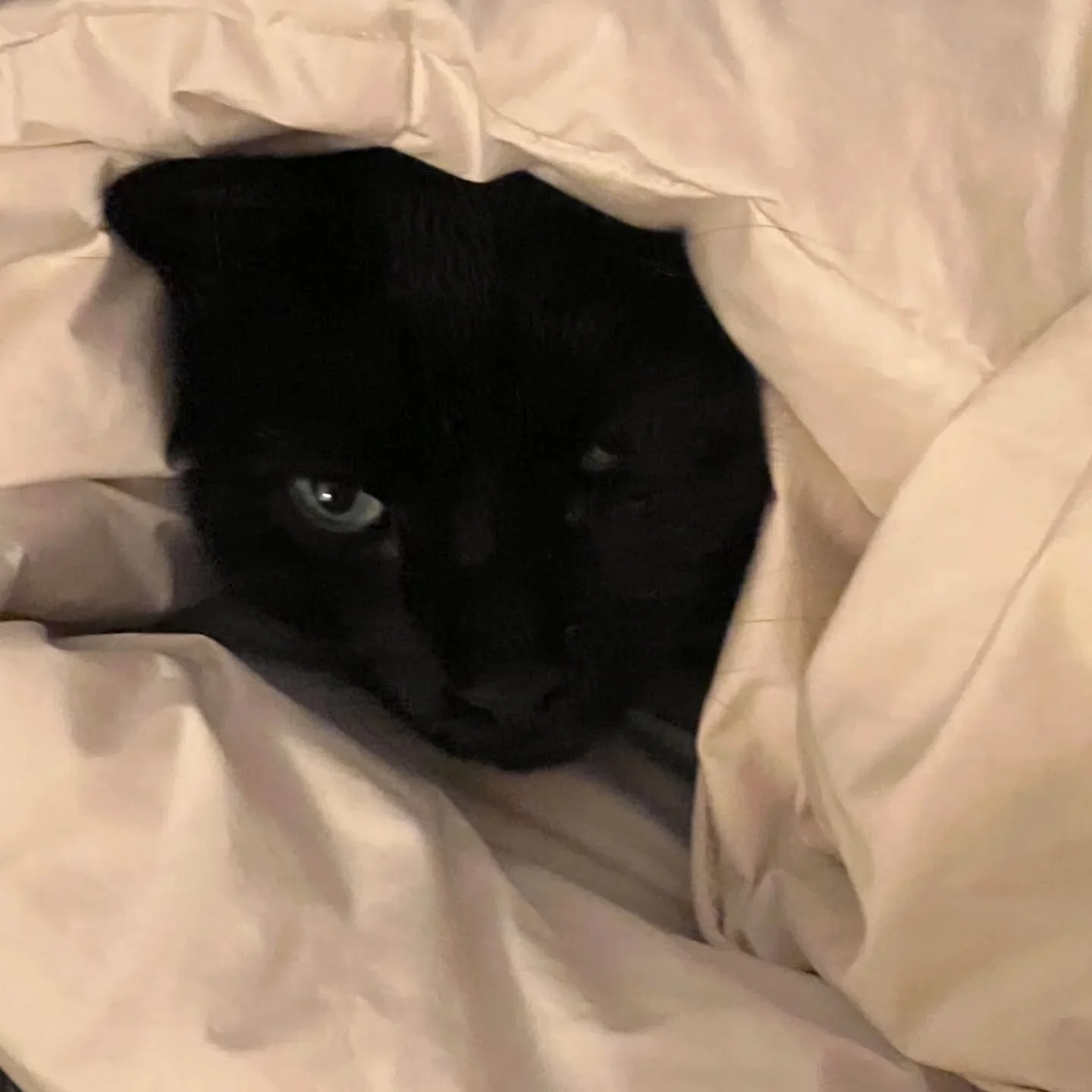 We took out the extra duvet for this second cold night. -11&deg; last night! #ruggleshill I