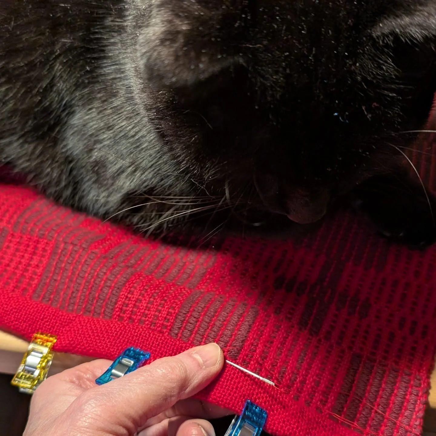 Ahem... Blind stitch supervision. #ruggleshill