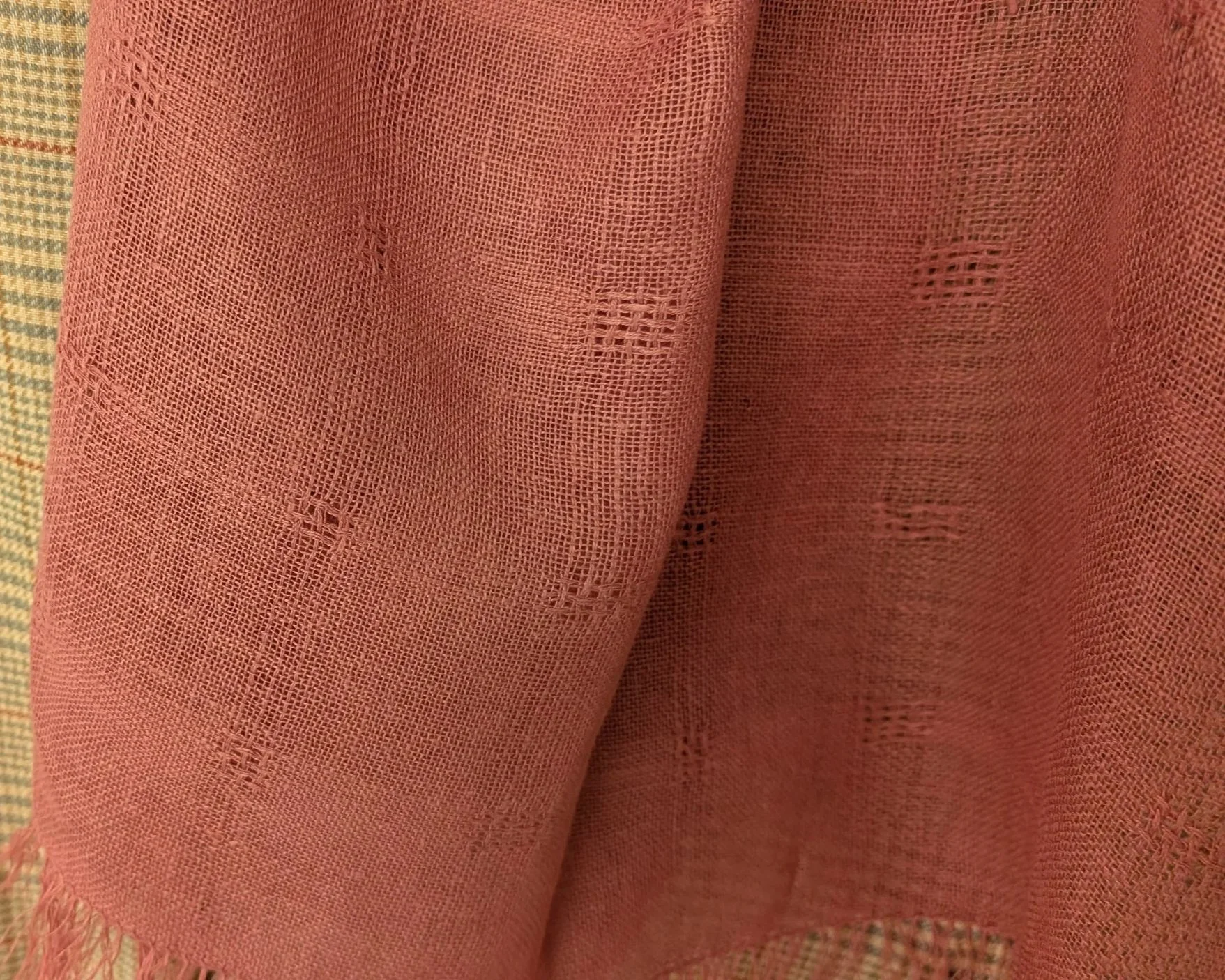 PXL_20250812_183317492.jpg