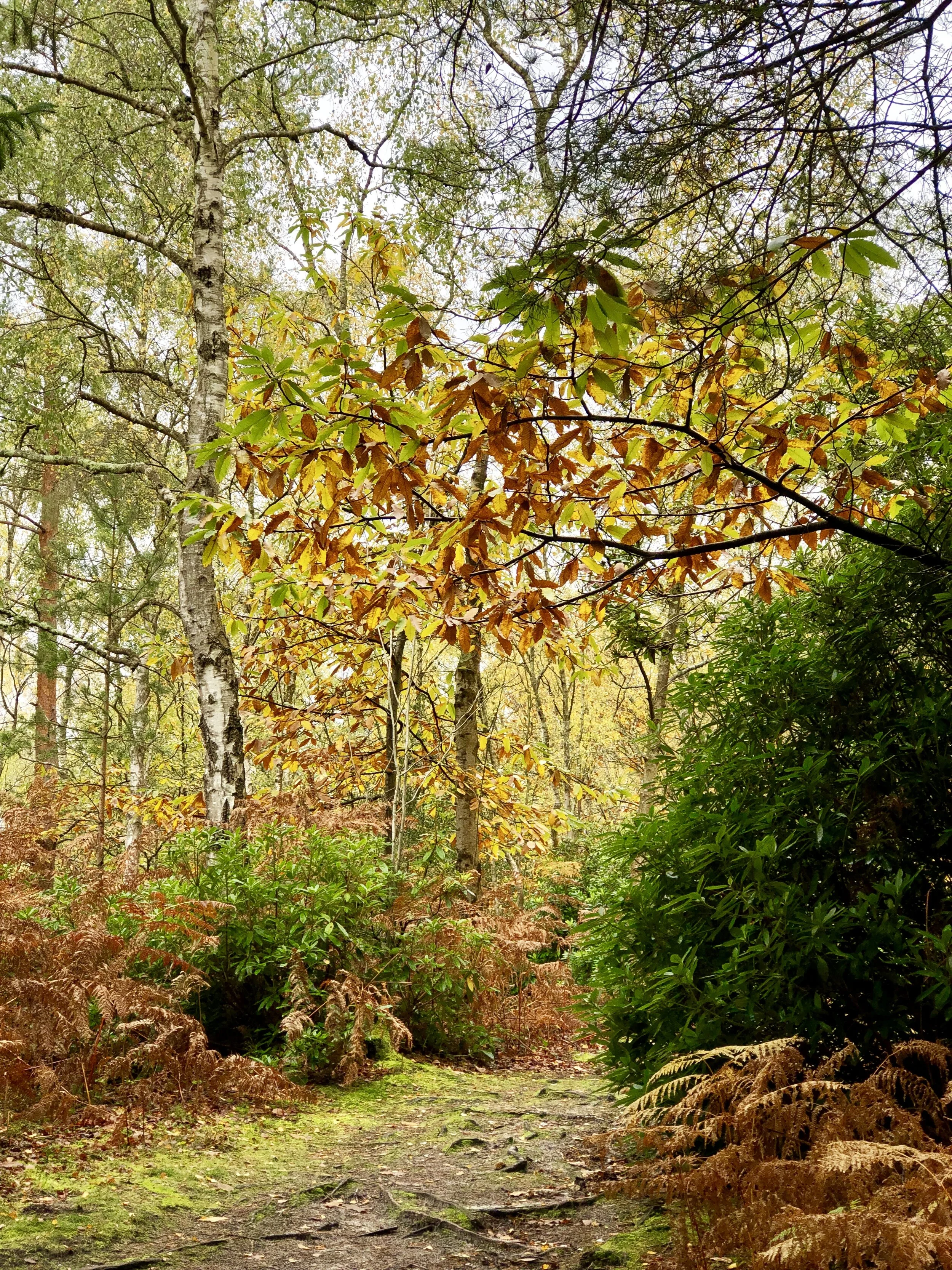 A note from the road