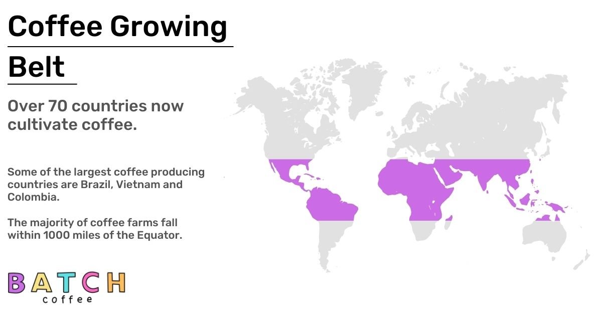 Coffee Growing Belt