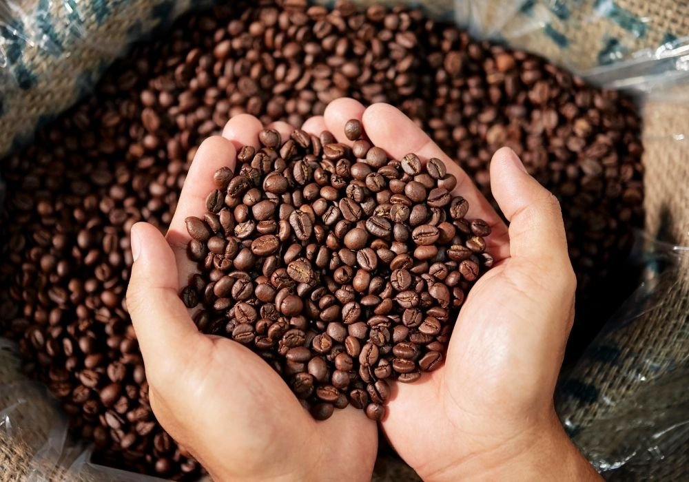 4 Different Types of Coffee Beans (plus 16 varietals)