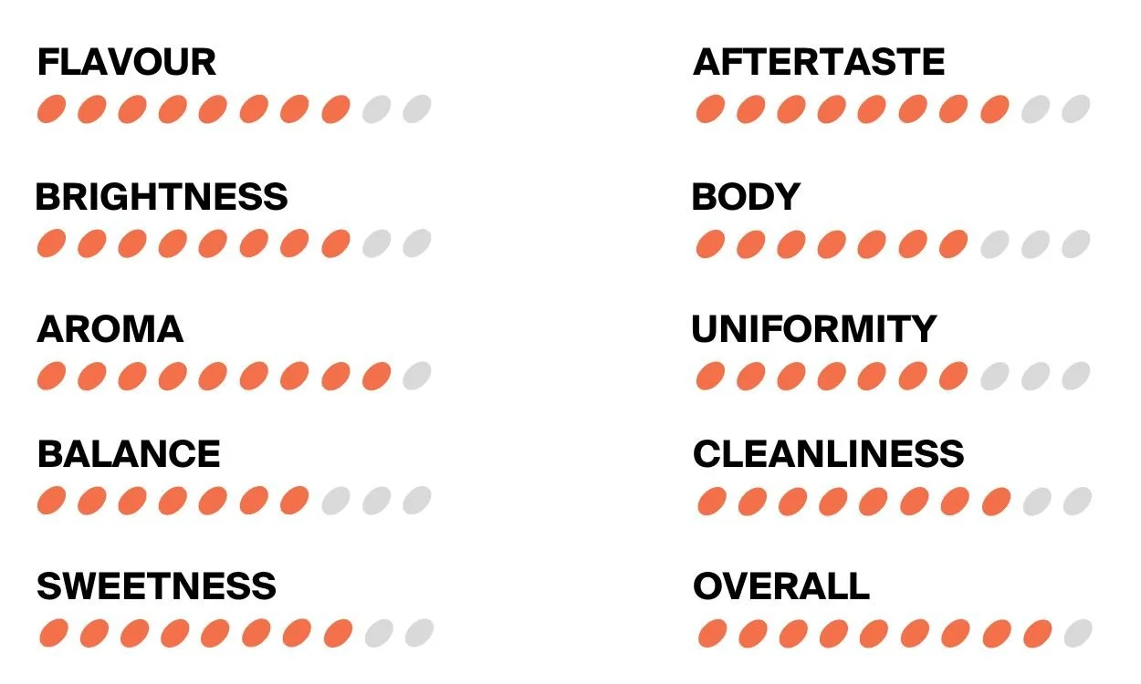 Chipp Coffee Roasters Scores - 2024-05-30T124920.991.jpg