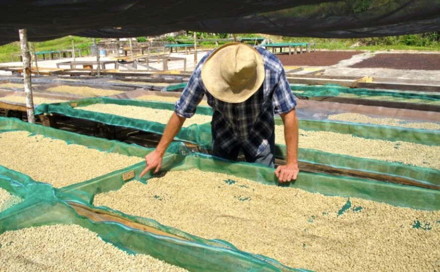 Screen Shot 2020-03-10 at 21.21.27.png