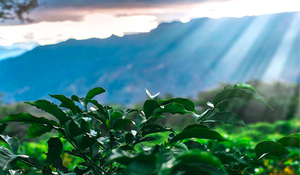 Screen Shot 2020-03-11 at 17.08.17.png