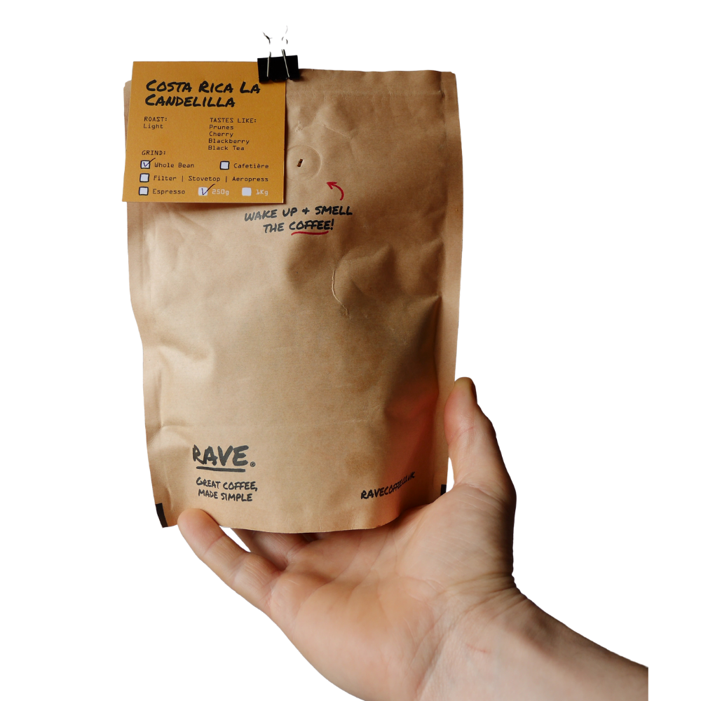 Untitled design (78).png