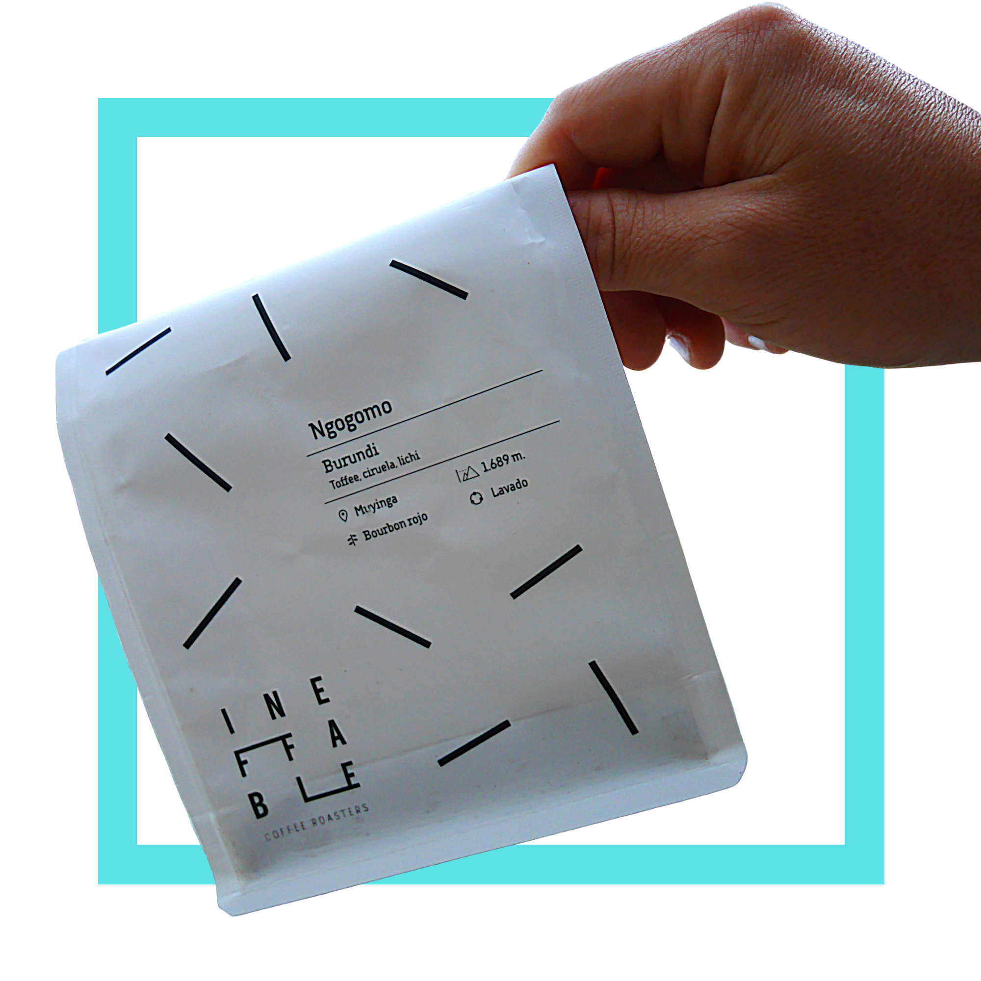 Ineffable coffee roasters | Ngogomo | Burundi