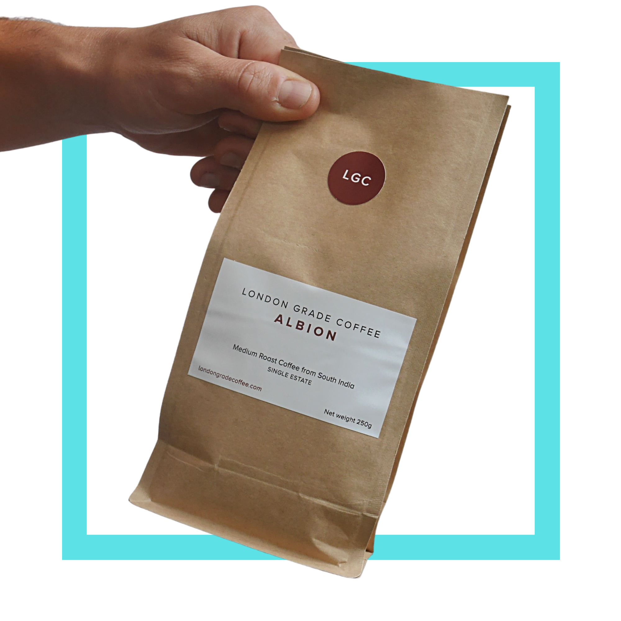 London Grade Coffee | Albion | India