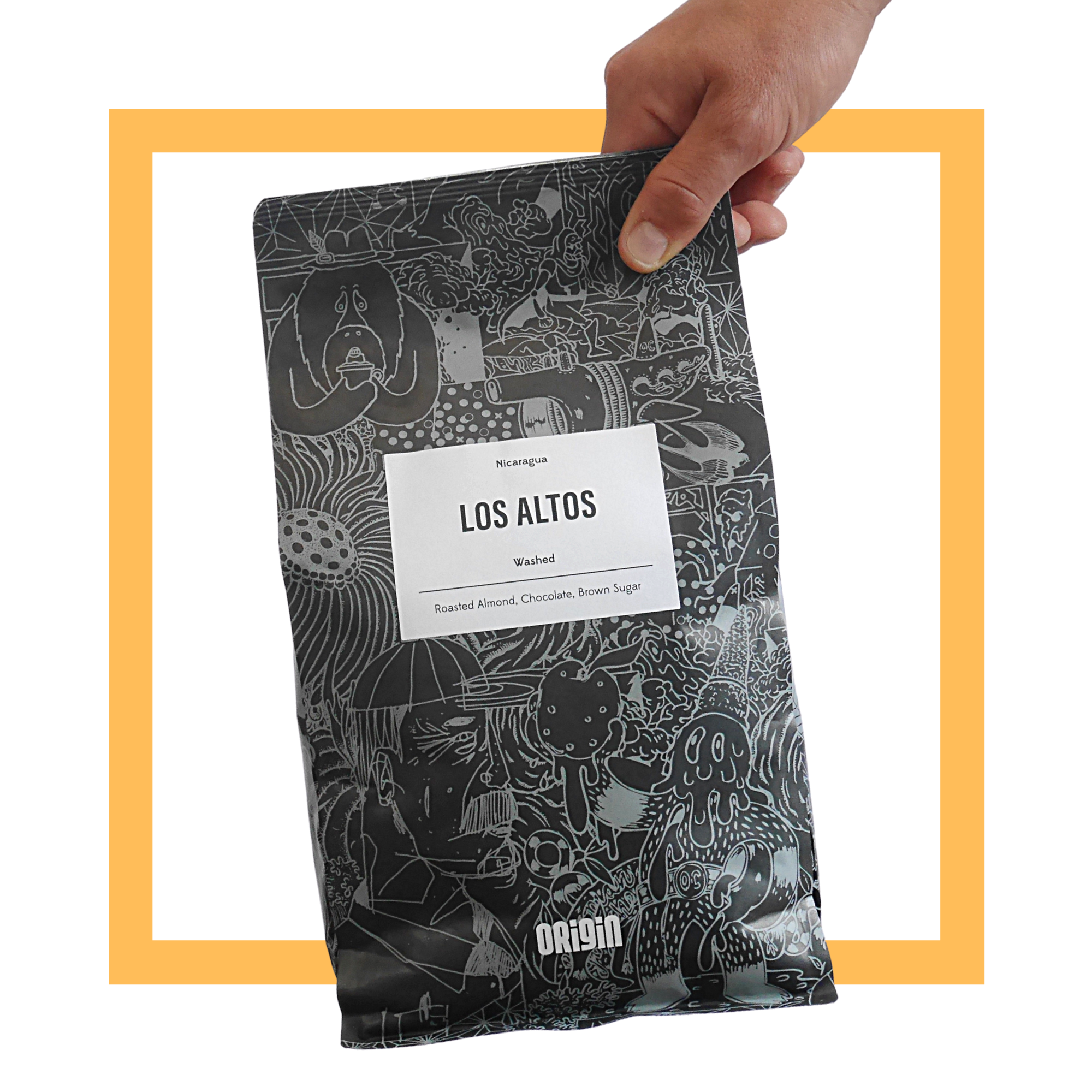 Origin Coffee Roasters | Los Altos | Nicaragua