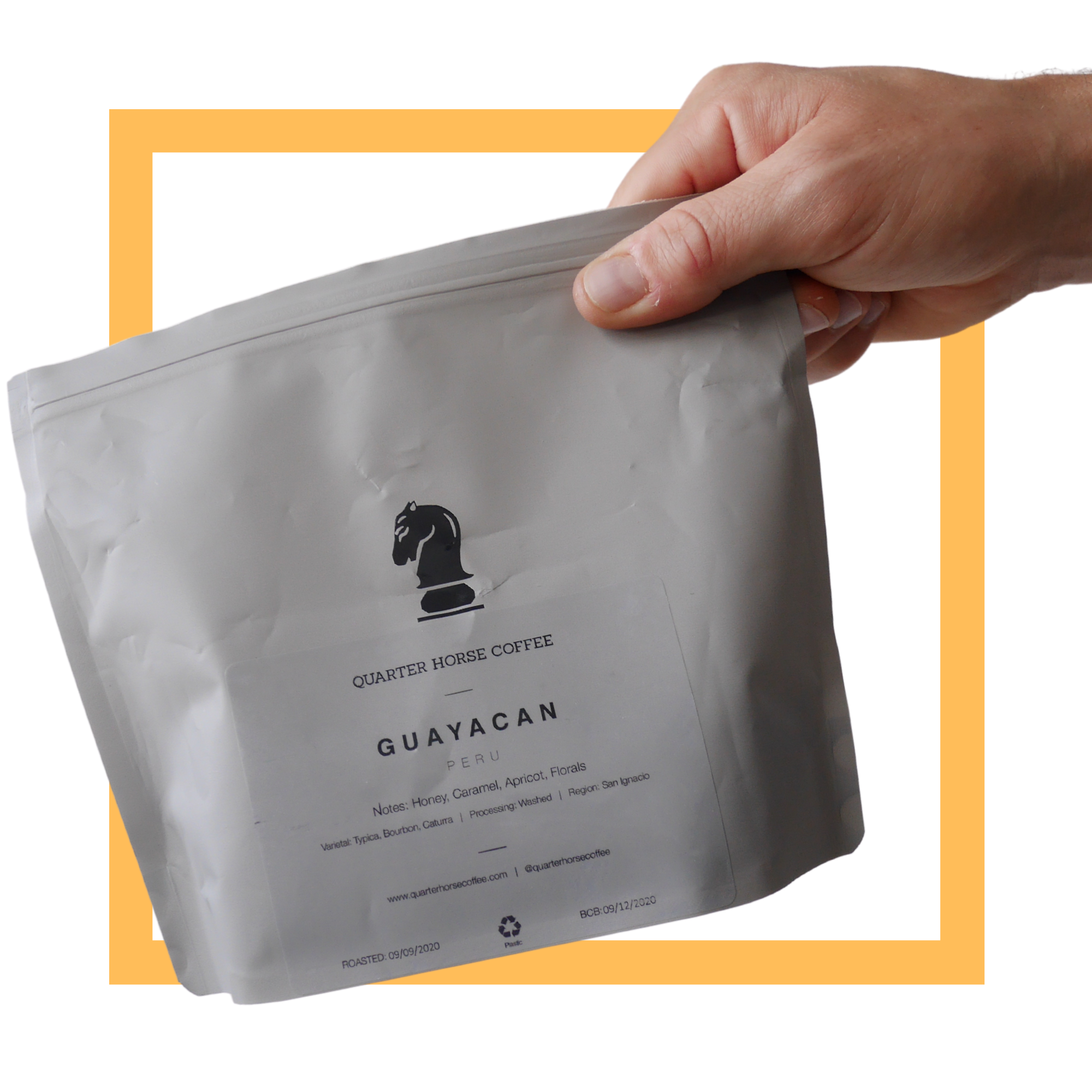 Quarter Horse Coffee Roaster | Guayacan | Peru