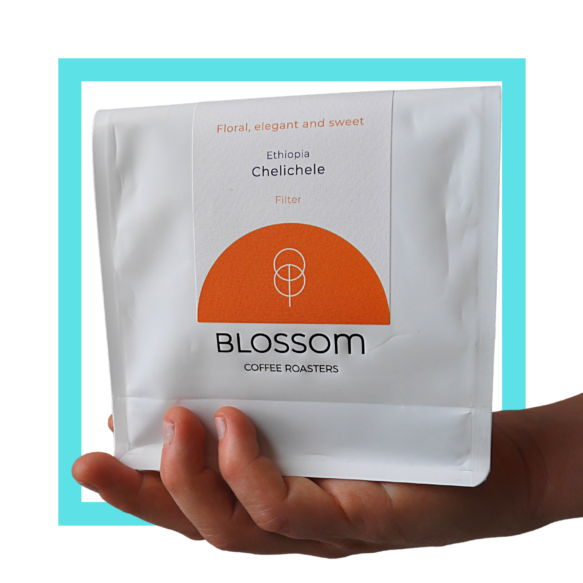 Blossom Coffee Roasters