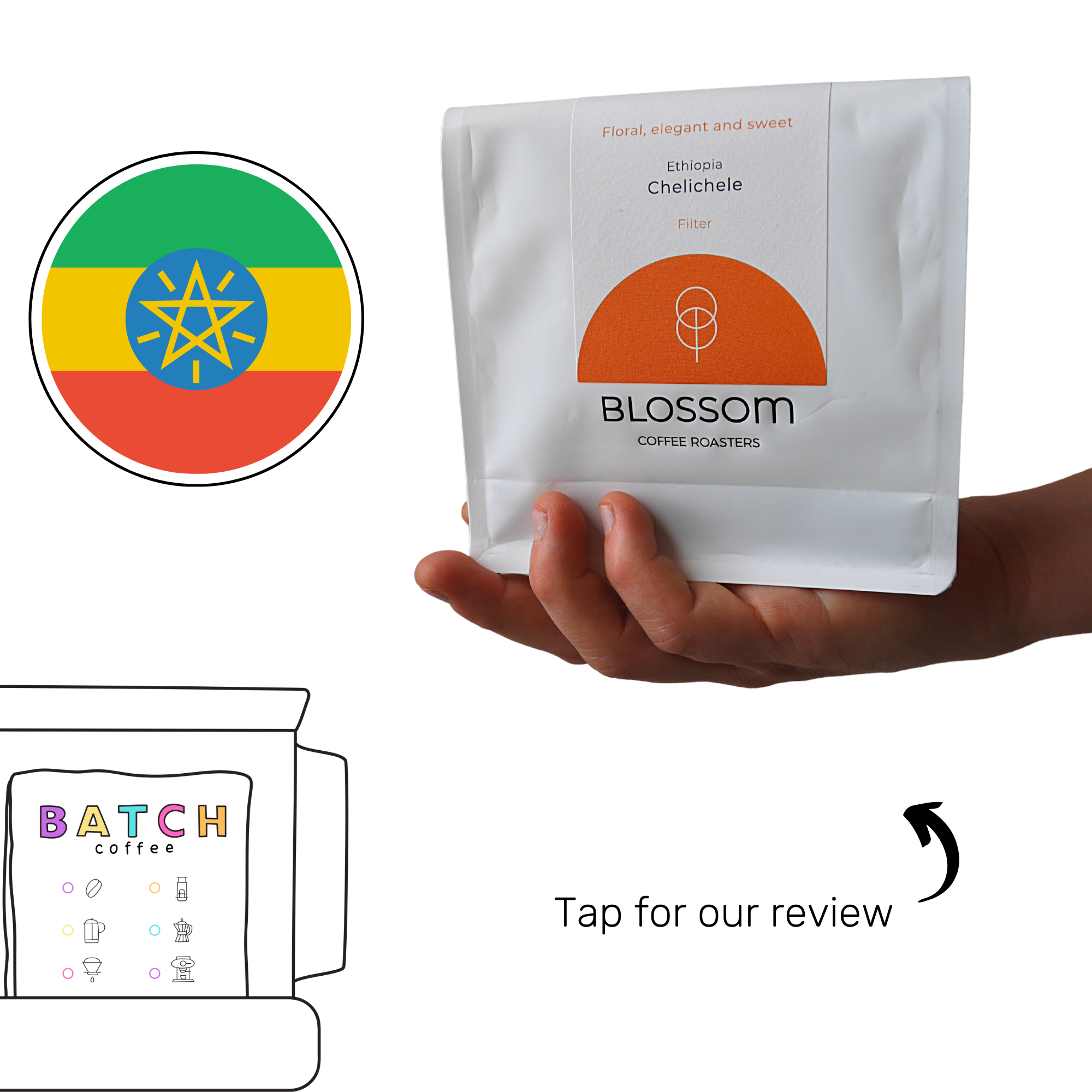 Blossom Coffee Roasters  (Copy)