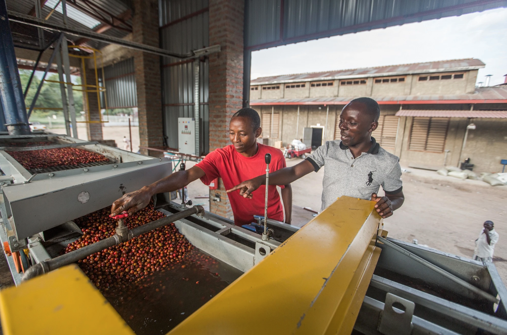 Uganda Coffee Origin | Batch Coffee