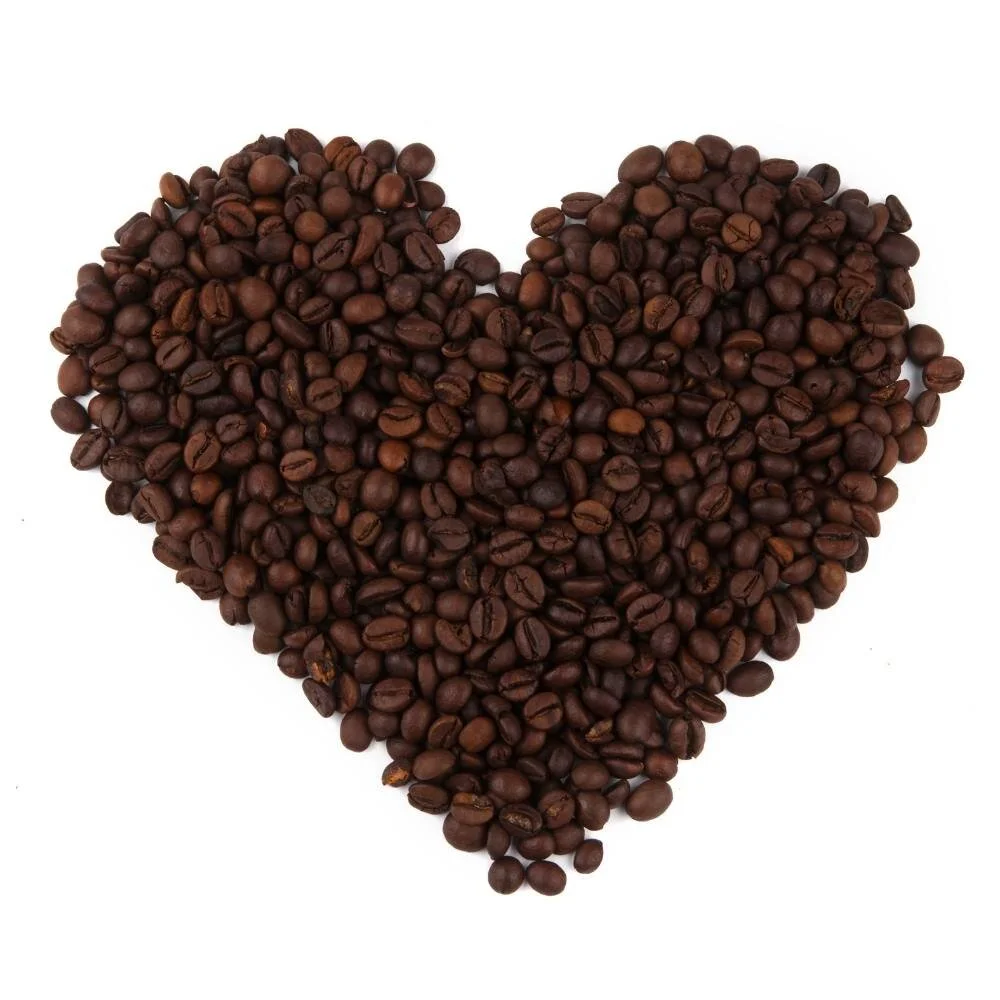 The Top Dogs of Decaf Coffee (2023) 9 of the Best