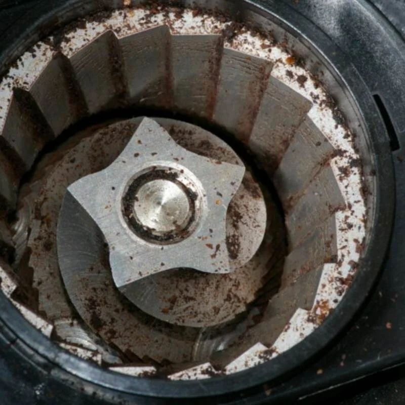 ADLER Camry Kaffeemühle Mit Kegelmahlwerk - 200W, 12 Tassen Kapazität, Professioneller Kaffeemahlgrad