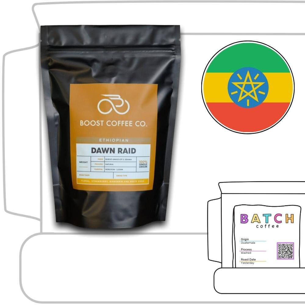 Boost Coffee Co. Review (Copy)