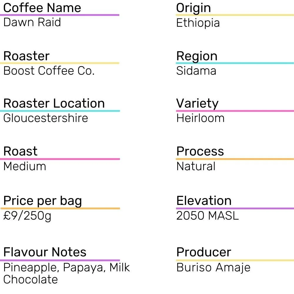 Boost Coffee Review Details