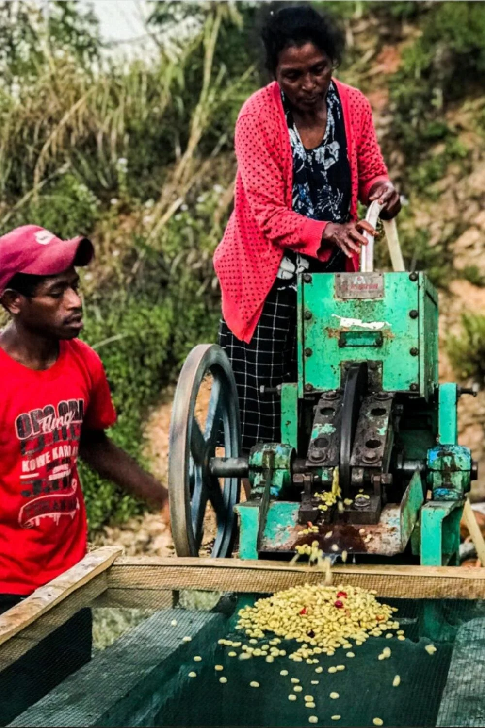 Photo; Karst Organics