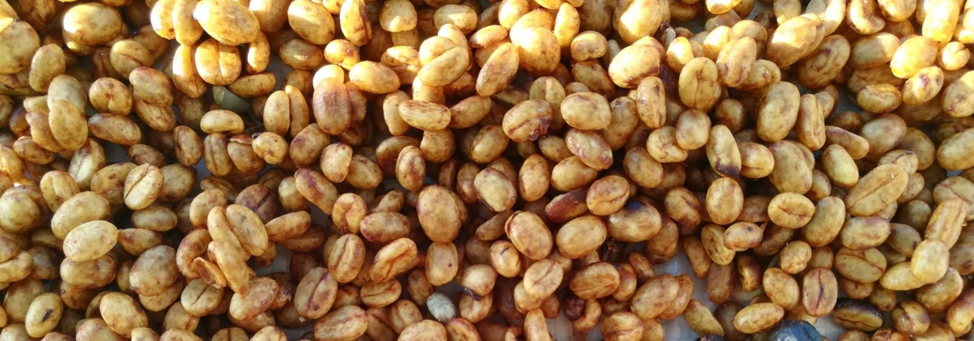 Photo; Perfect Daily Grind