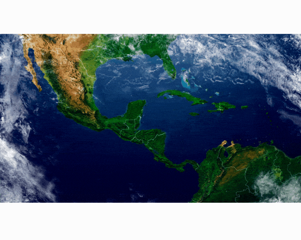 ezgif.com-gif-maker (12).gif