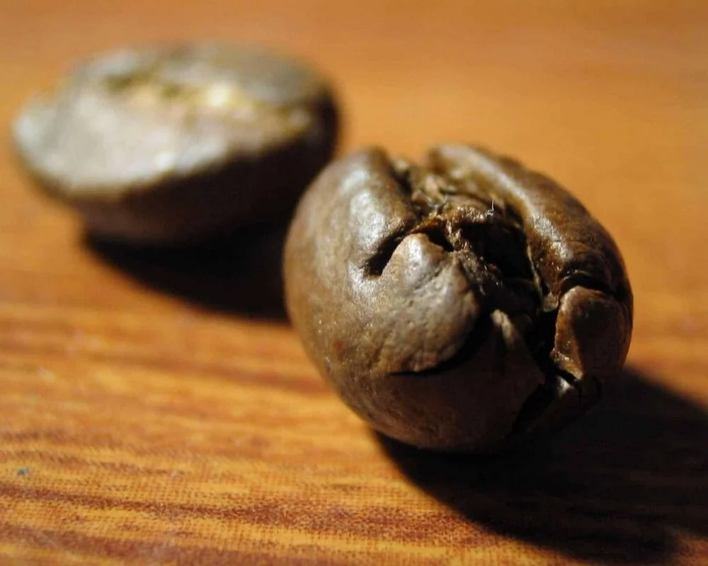 Normal vs Peaberry coffee beans. Photo; Little Coffee Place