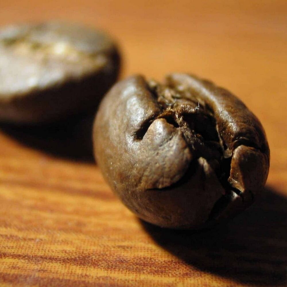 Coffee Beans Knowledge Hub coffee-beans-knowledge-hub
