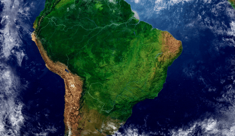 Brazil Coffee Farm Batch