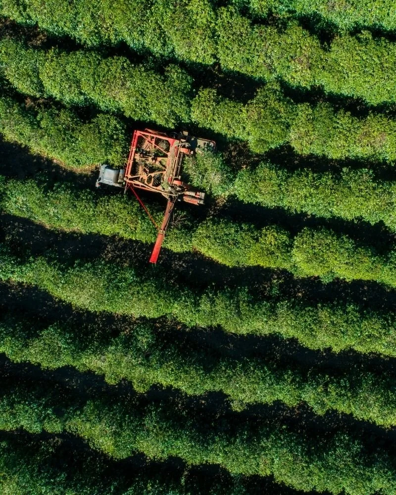 Untitled design - 2021-08-26T155256.703.jpg