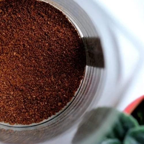 10 Ground Coffee Beans UK 2024