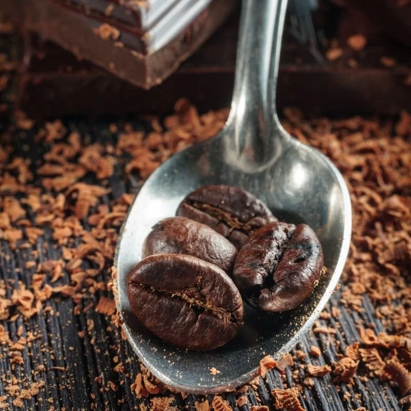 Can You Eat Coffee Beans?