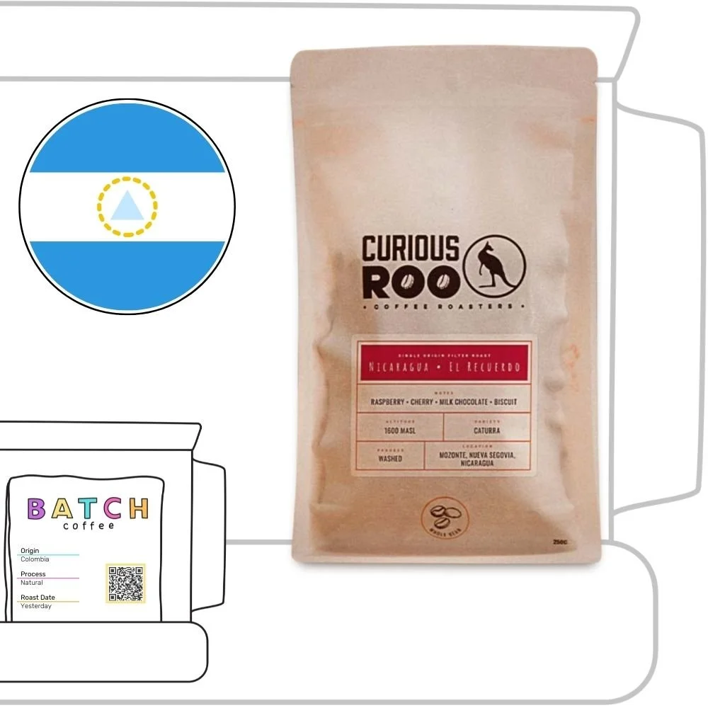 Curious Roo (Copy) (Copy)