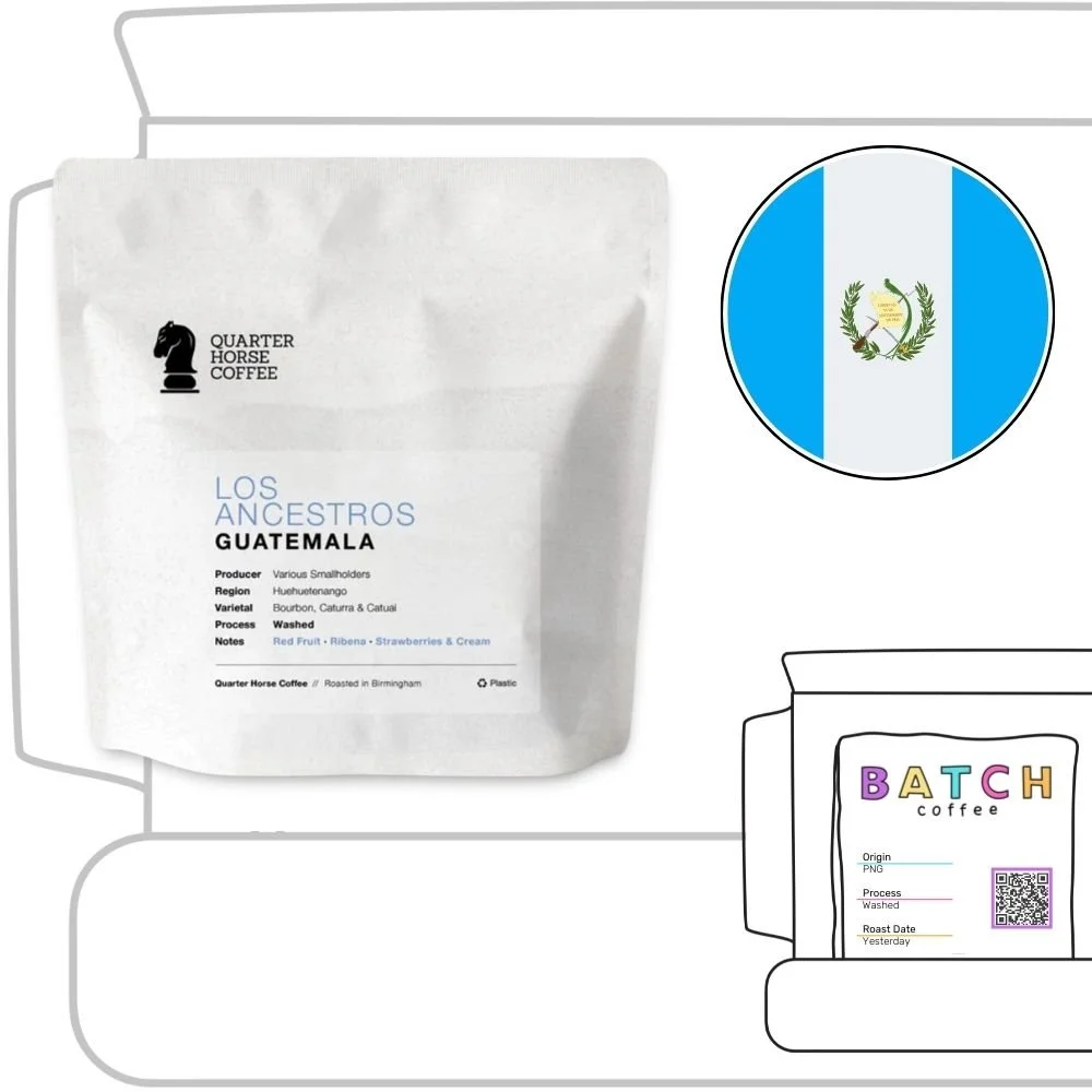 Quarter Horse  (Copy) (Copy)