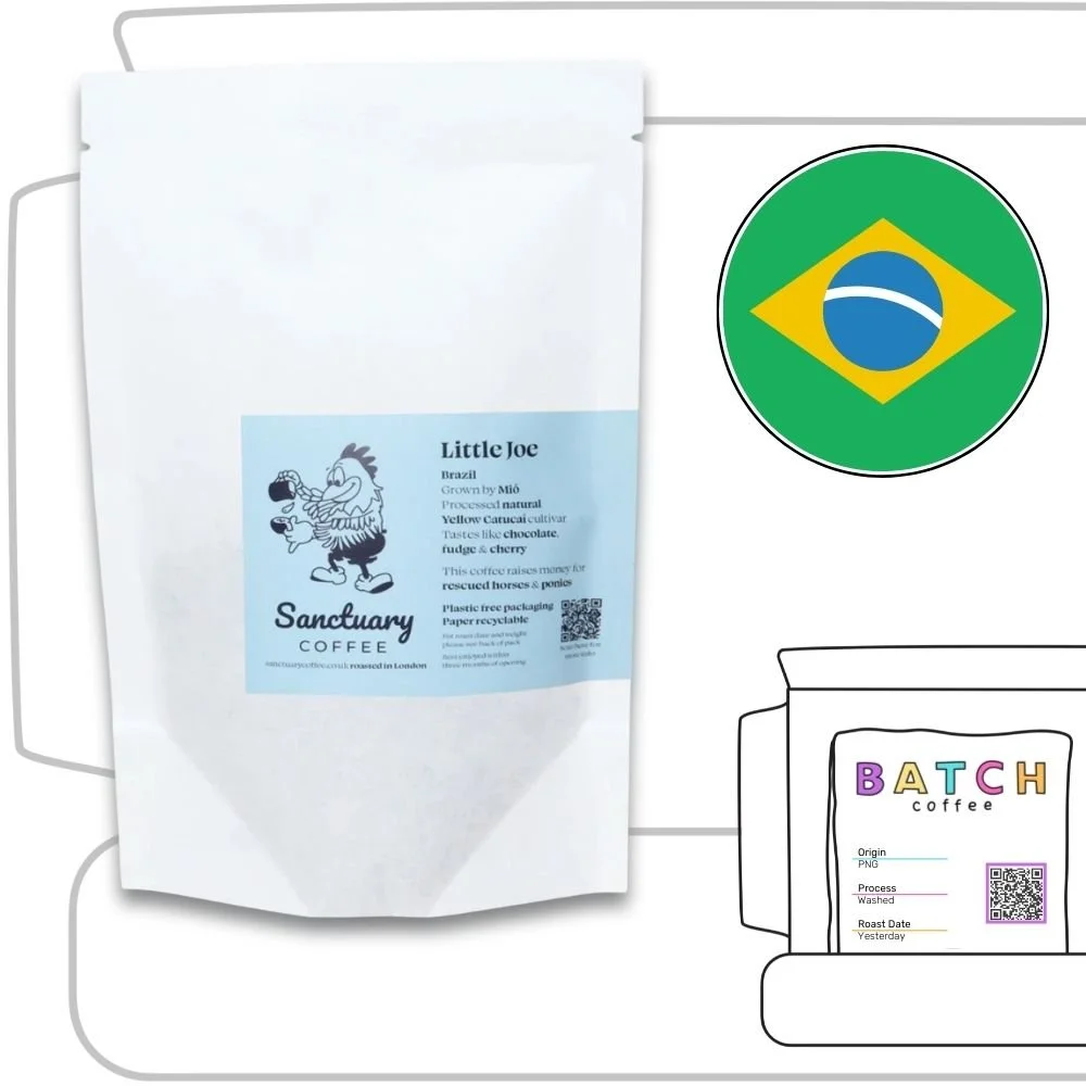 Sanctuary Coffee Review (Copy)