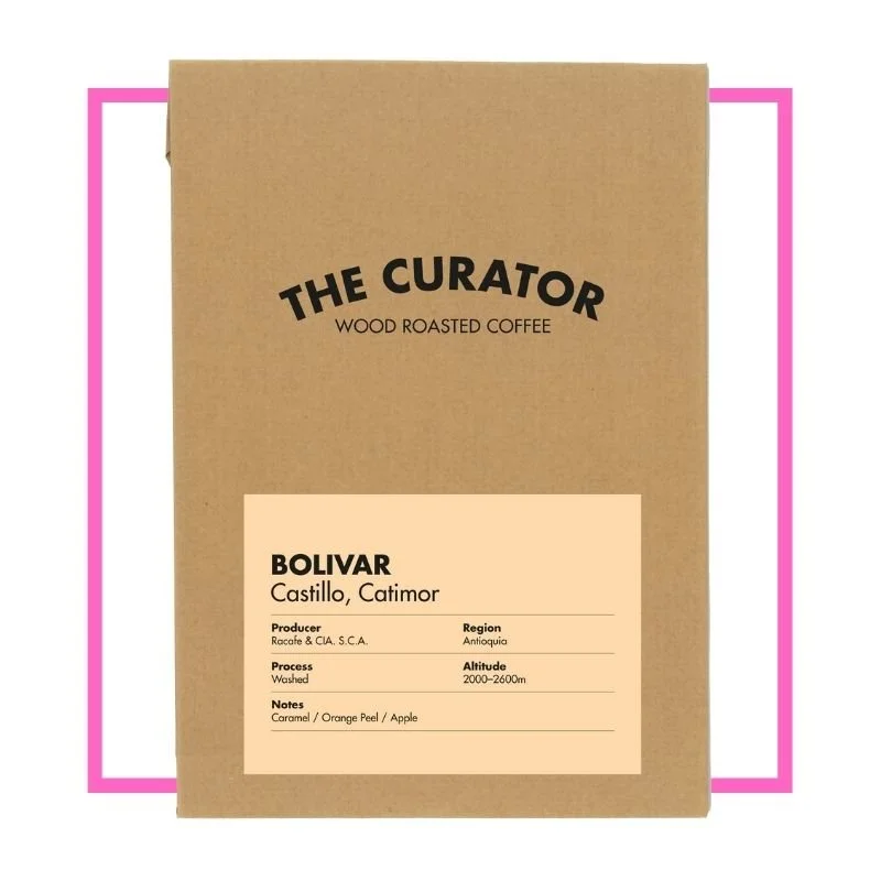 The Curator