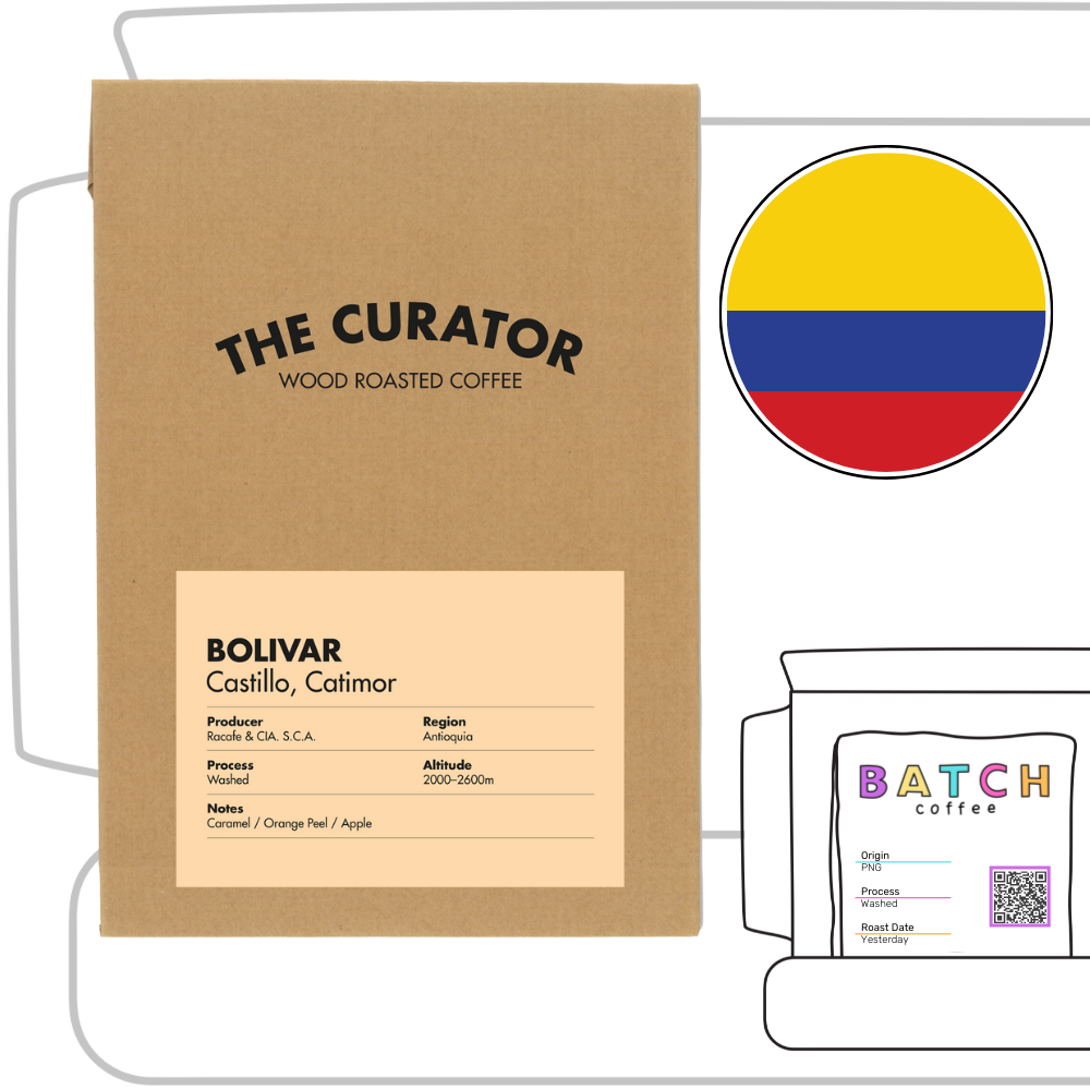 Curator Review (Copy)