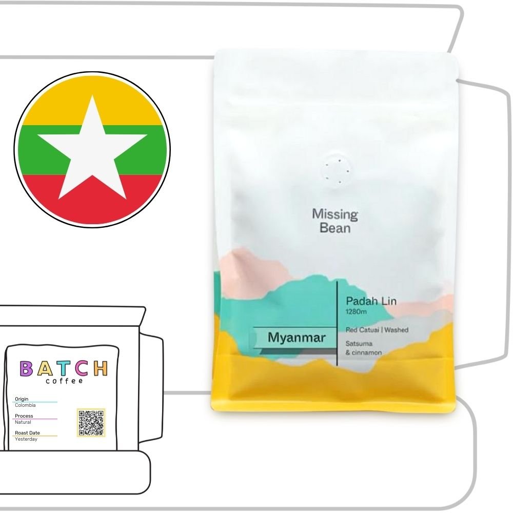 Missing Bean Review (Copy)