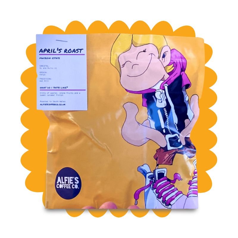 Alfies Coffee Co Review