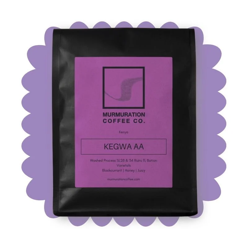 Murmuration Coffee Roasters Review