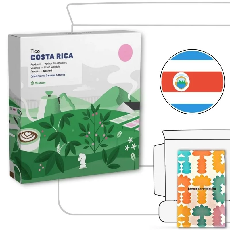 Quarter Horse Review (Copy)