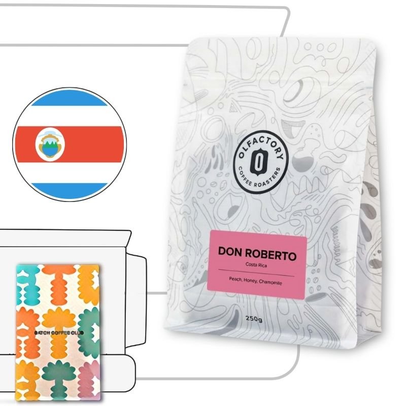 Ol Factory Coffee Review (Copy)