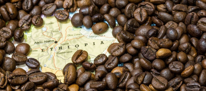 Ethiopian Coffee: A Journey Through Coffee's Birthplace