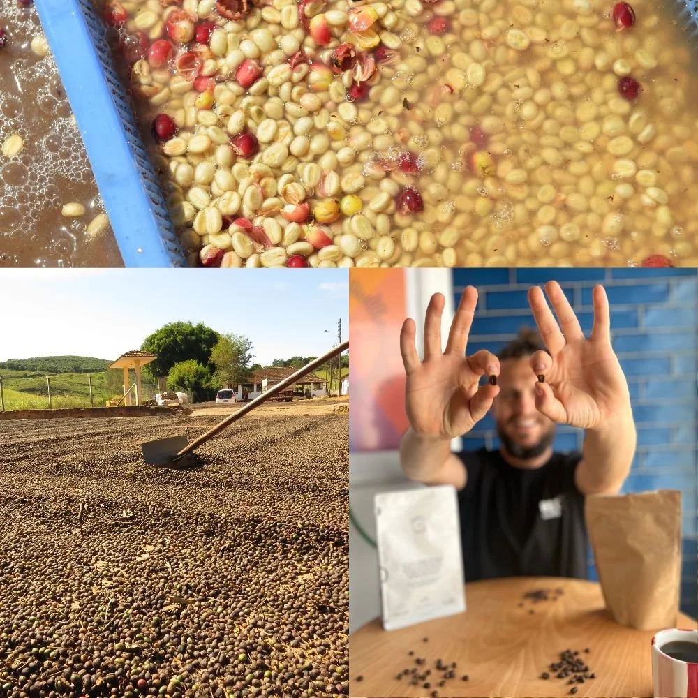 Washed Coffee vs Natural Coffee