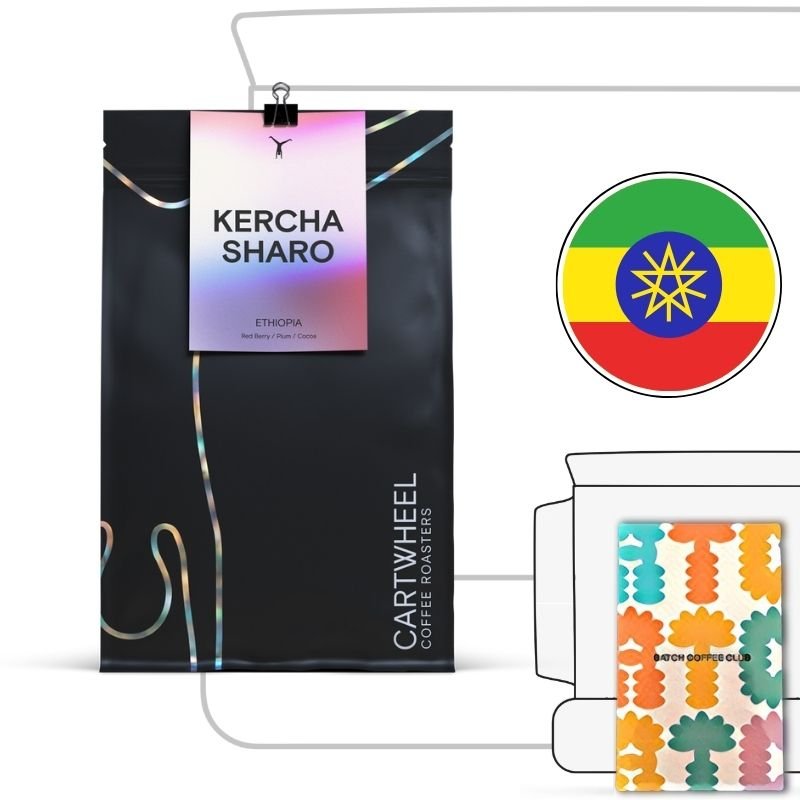 Cartwheel coffee Review (Copy)