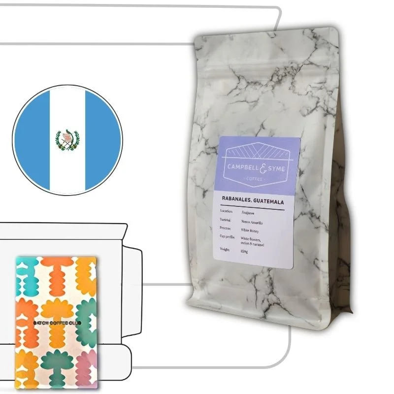 Campbell and Syme Review (Copy)