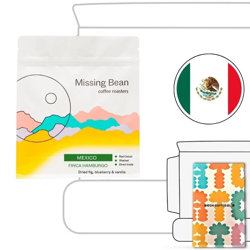Missing Bean Review (Copy)