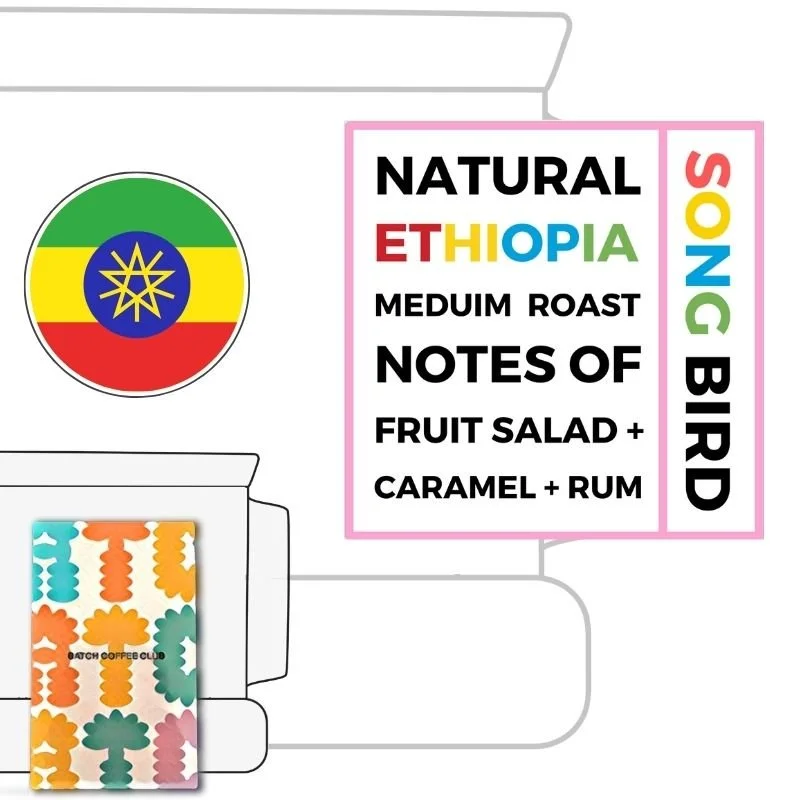 Kin Coffee Roasters Review (Copy)