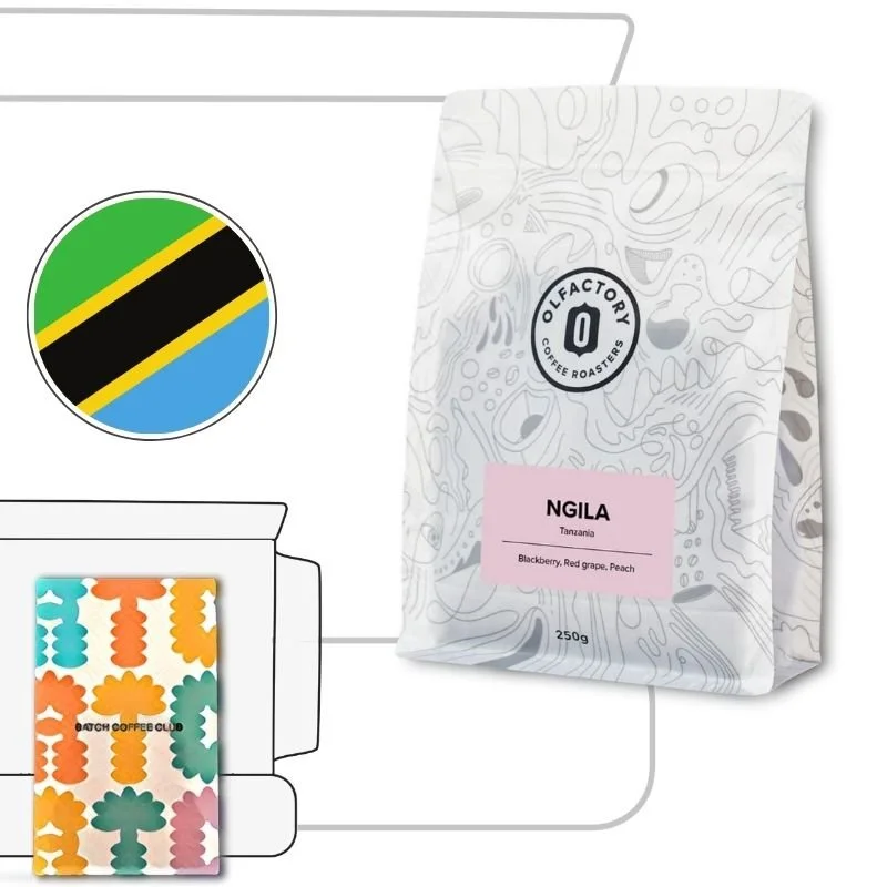 Olfactory Review (Copy)