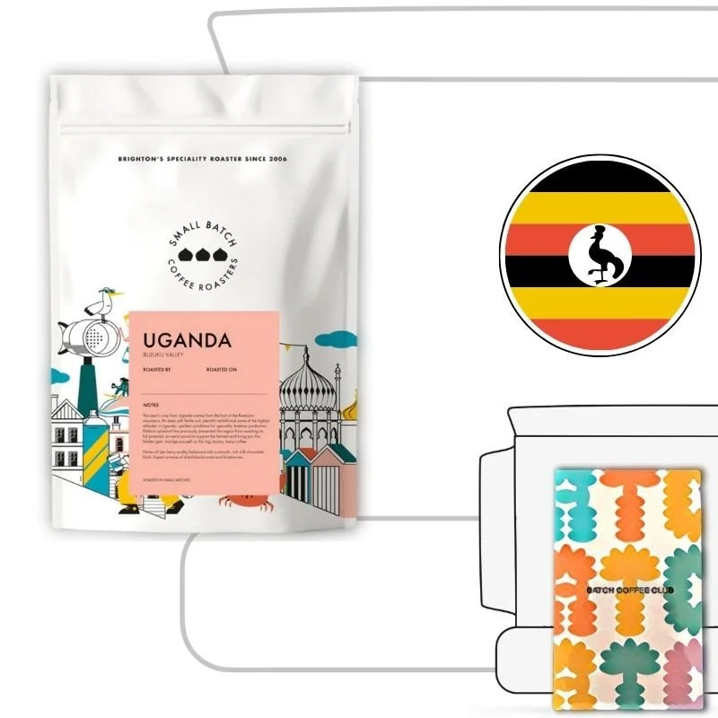 Small Batch Coffee Review (Copy)